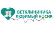 Любимый носик