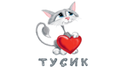 Тусик