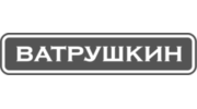 ЗАРИНА