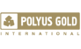 Polyus Gold International